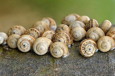 《机甲战魔 神话之裔》 制作人谈本作开发理念与幕后故事 纪录短片今日正式公开！